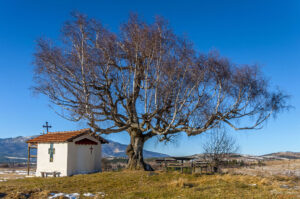 Параклис Свети Киприян, Плана