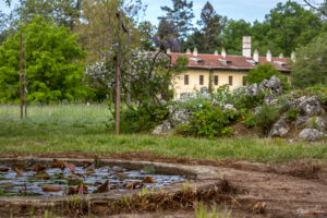 Езерце с алпинеум в парк Врана