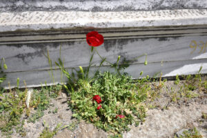 Останките на храма на Атина в Пергамския акропол