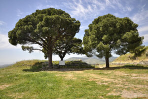 Храма на Зевс - тук се е намирал Пергамския олтар