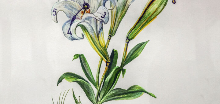 Изложба "Неочакваният Дали", Перущица