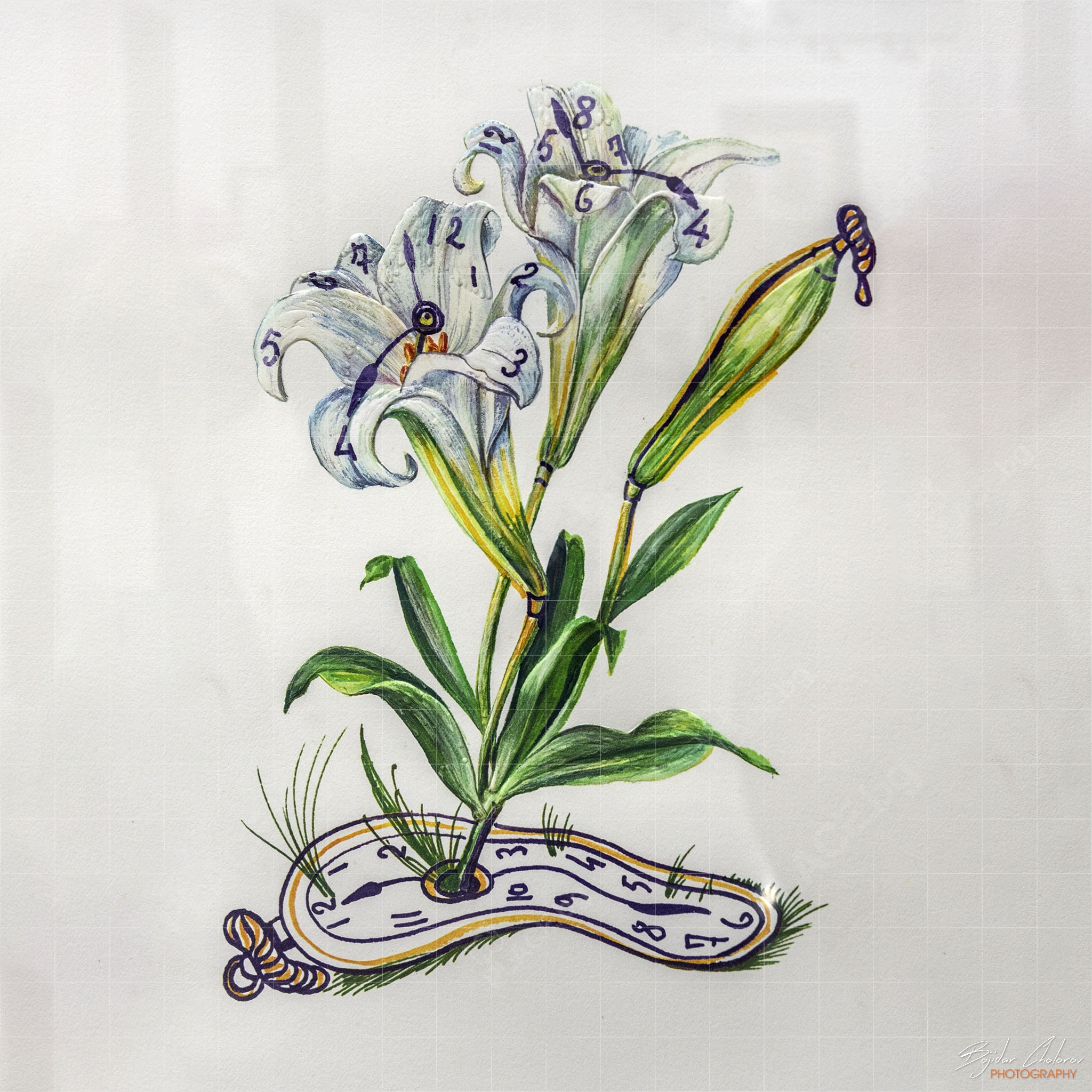 Изложба "Неочакваният Дали", Перущица