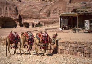 Петра - паркинг за камили