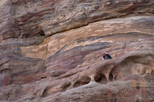 Време за почивка след работния ден