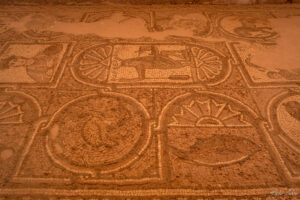 Подовите мозайки в Църквата в Петра