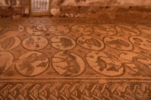 Подовите мозайки в Църквата в Петра