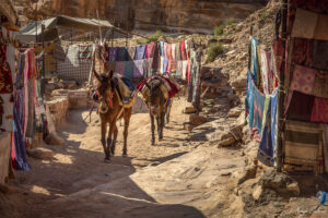 По пътеката към Манастира в Петра