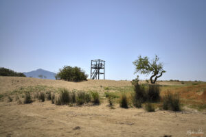 Плажа на костенурките (İztuzu)