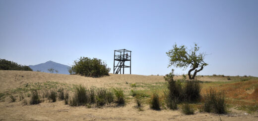 Плажа на костенурките (İztuzu)