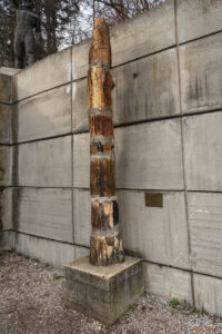 Вкаменено дърво на възраст 5 милиона години