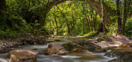 Римски мост до село Дъбово