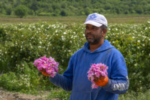 Розобер - бригадирът показва критерият за качество