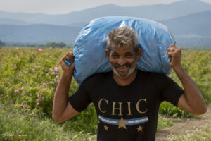 Въпреки тежкия труд усмивката винаги е на лицето на розоберачите