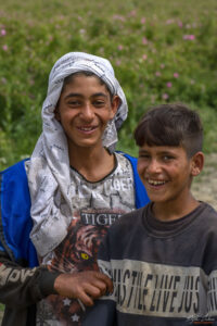 Розоберът &ndash; двама другари