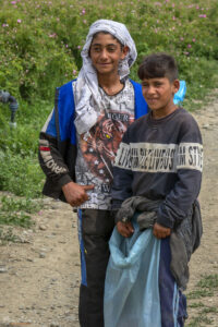 Розоберът &ndash; възрастта не е от значение