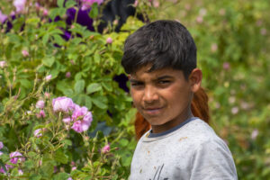 &bdquo;Розово детство&ldquo; &ndash; открит, сериозен поглед, който говори без думи