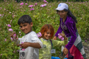 Розобер - въпреки всичко, децата си остават деца