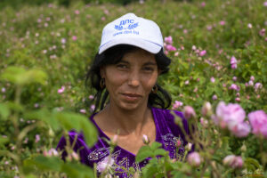 Розовите полета и хората, които работят в тях