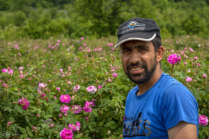 Обикновените хора зад българското розово масло