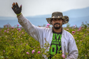 Добре дошли на истинския розобер