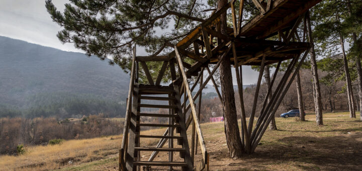 Зоната на фестивал „Събуди се“