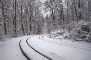 Следваща спирка улица Вишнева