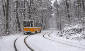 Следваща спирка улица Вишнева