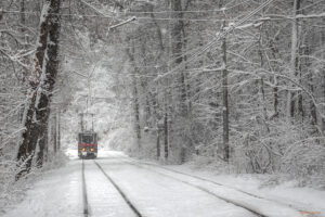Следваща спирка улица Вишнева