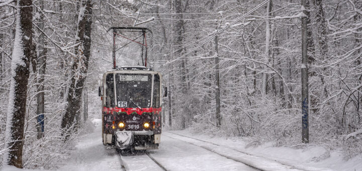 Следваща спирка улица Вишнева