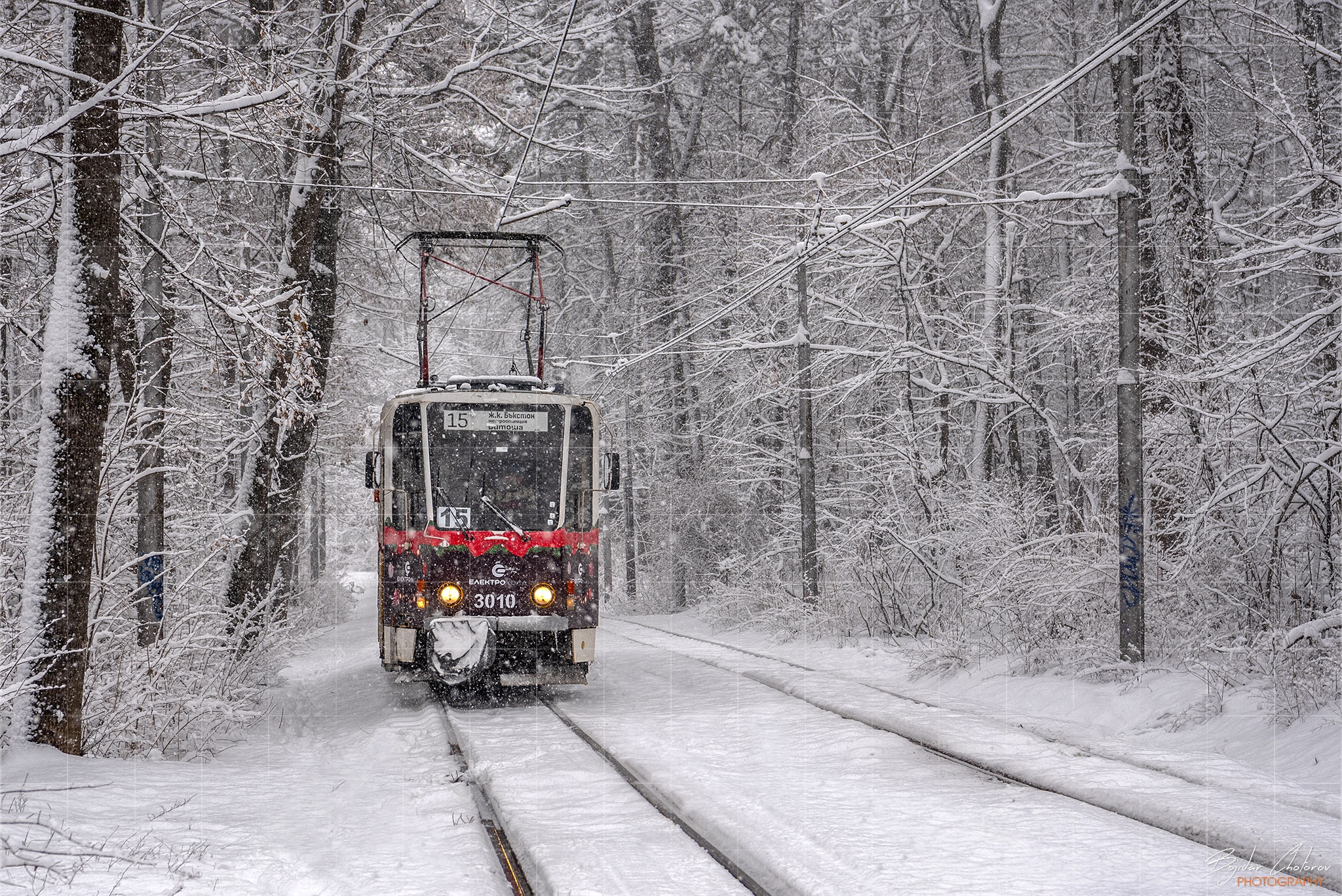 Следваща спирка улица Вишнева