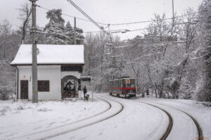 Спирка ул. Вишнева