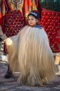 Кукерски карнавал "Старчевата", Разлог