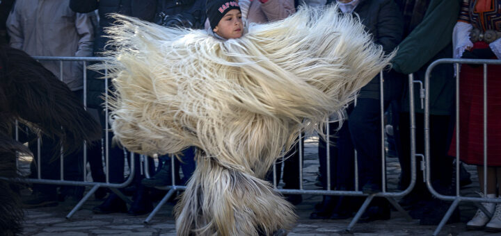 "Старчевата" в Разлог