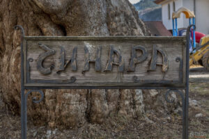 Старият чинар