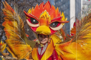 Международно участие на Сурва 2017, Перник