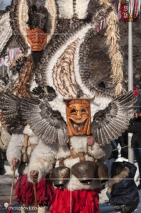 Сурва 2017, Перник