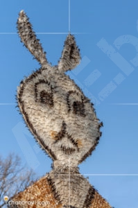 Сурва 2017, Перник