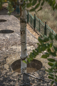 Паметник-символ "Тракия без граници"
