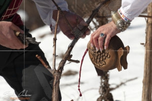 Ритуалното зарязване на лозите в град Шипка на Трифон Зарезан