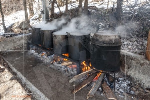 Приготвянето на курбана за Трифон Зарезан в град Шипка