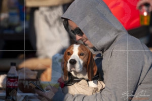 Всеки е добре дошъл на курбана за Трифон Зарезан в Шипка