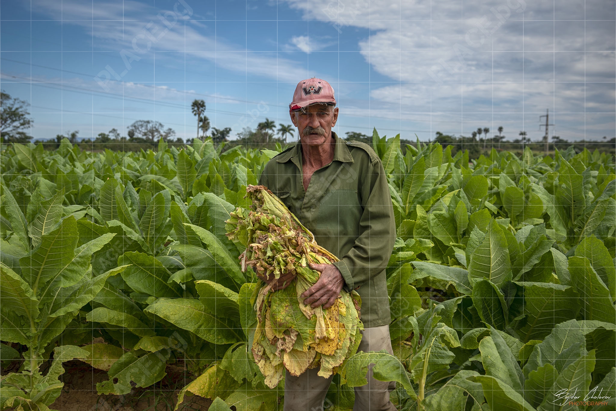 Туристическа ферма Rancho Alegre