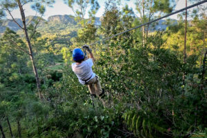 Въжен тролей в El Fortin, Винялес