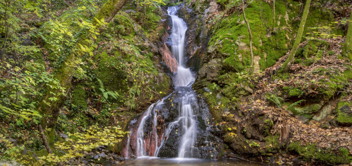 Водопад Дъбицата