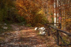 Отклонението от черният пък към водопад Скоко