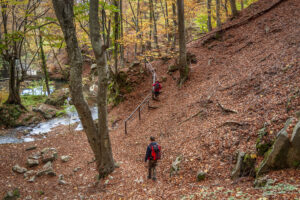 Етап от пътеката към водопад Скоко