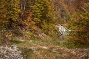 ВЕЦ Кашина - началото на пътеката (черният път)