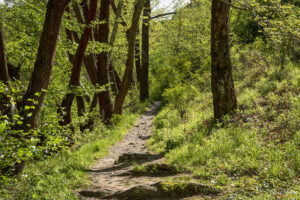 Пътека към водопада край село Първенец