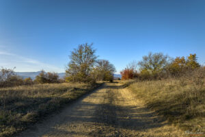 По коларския пътя към връх Тумба