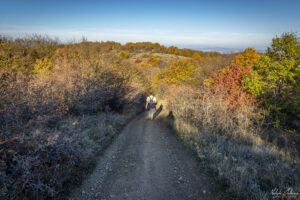 По пътеката към връх Тумба